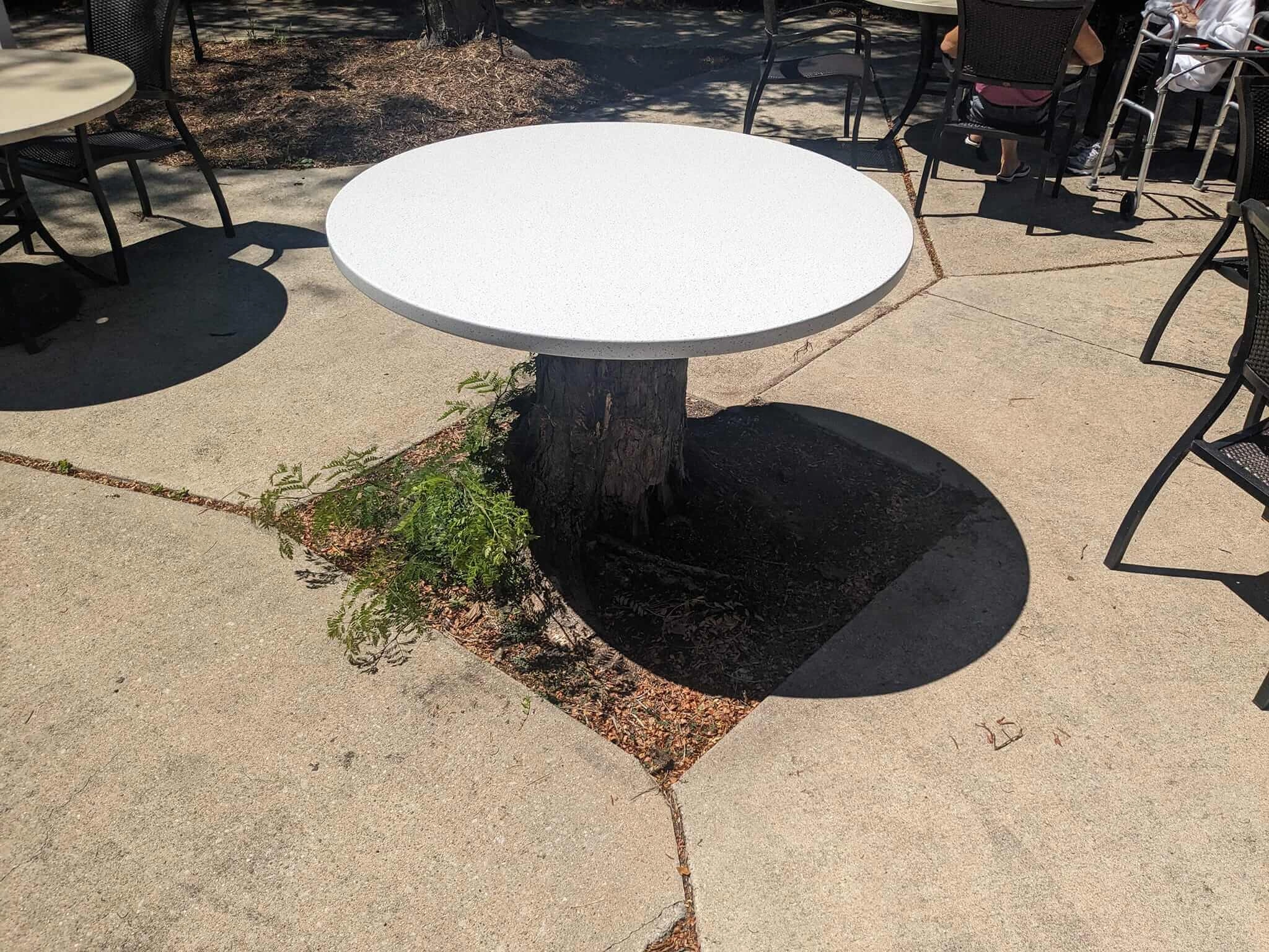 Solid Surface Example 17