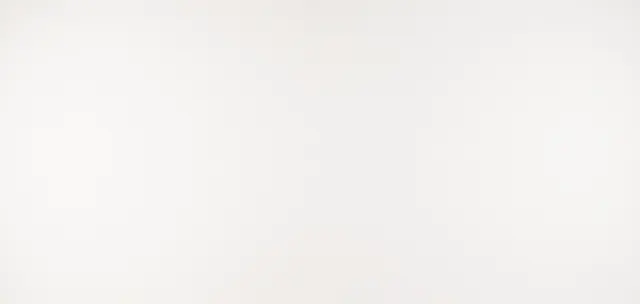 Arctic White, MSI