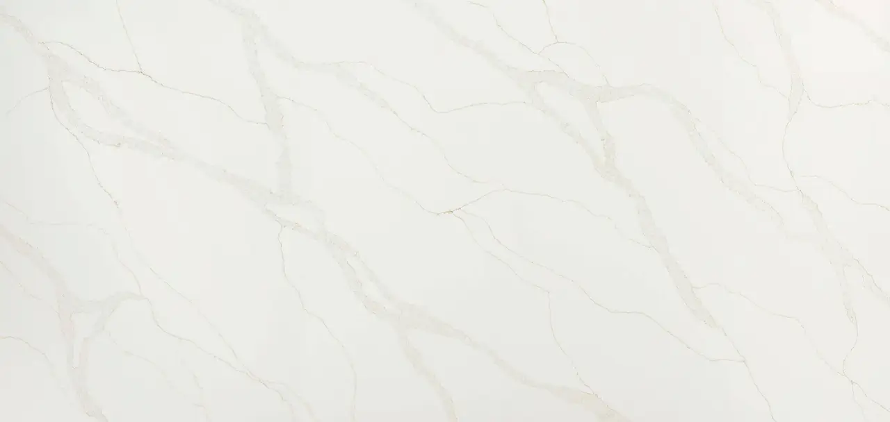 MSI Calacatta Elysio