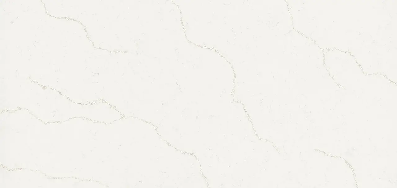 MSI Calacatta Rusta