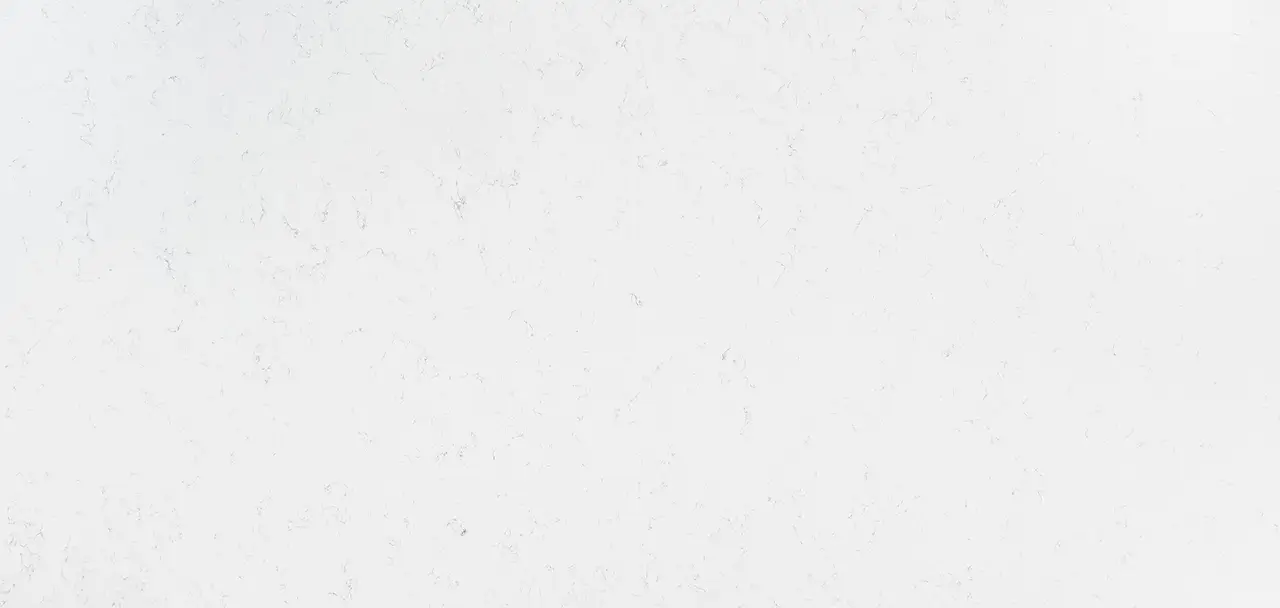 MSI Carrara Morro - 2CM